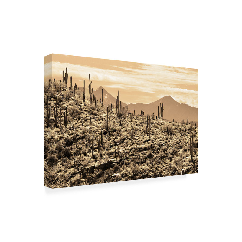 «Arizona Mountains» par Mitch Catanzaro, reproduction de photo sur toile