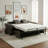 Cappella Italian 85" Genuine Top Grain Leather Queen Wide Arm Pull Out Sleeper Sofa Bed with Memory Foam Mattress-144693451