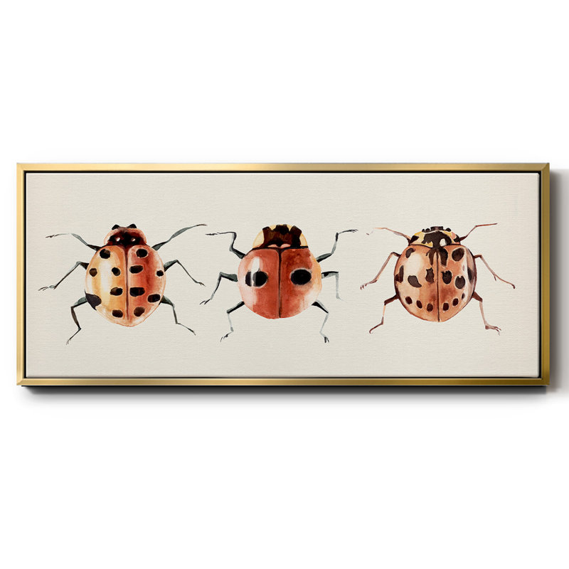 Coccinelle, H 20 po x l 50 po