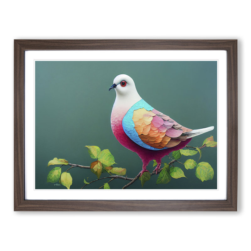 Cosmopolitan Dove Bird - Framed Print, 46cm H x 64cm W x 2cm D, Walnut Framed