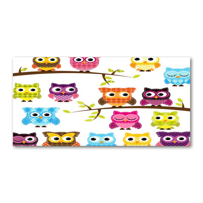 Colourful Owls - Wrapped Canvas Print