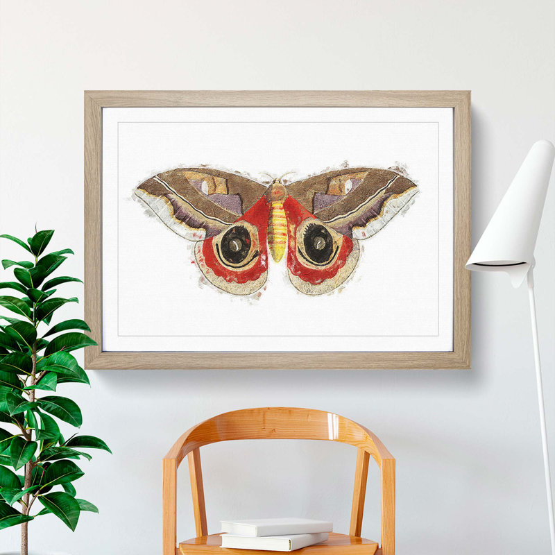 Automeris Moth by George Shaw - Single Picture Frame Painting, 45cm H x 63cm W x 2cm D, Oak Framed