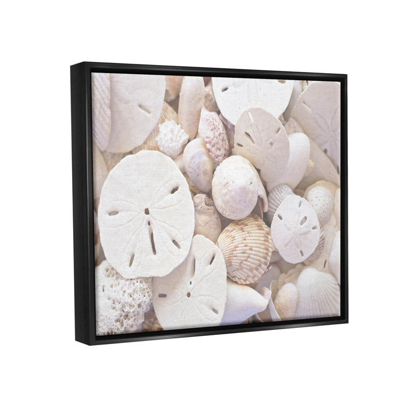 Photographie de cadre blanc flottant avec coquillages blancs, Cadre flottant noir de jais, H 25 po x l 31 po x P 1,7 po