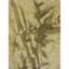 Abstract Area Rug in Olive-1866110878