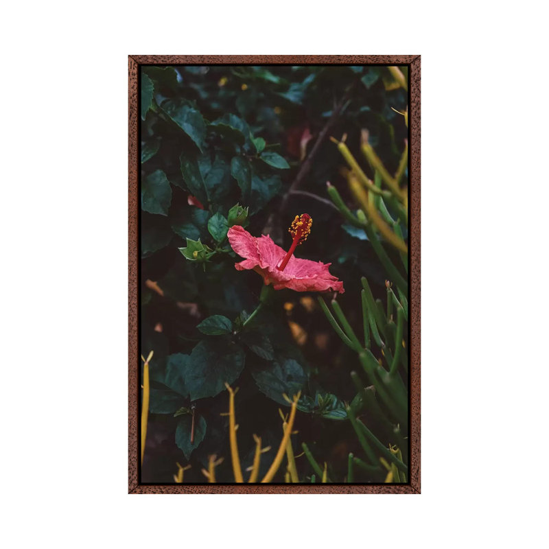 California Bloom by Bethany Young - Print on Canvas, Classic Brown Wood Framed, 66.04cm H x 45.72cm W x 3.81cm D