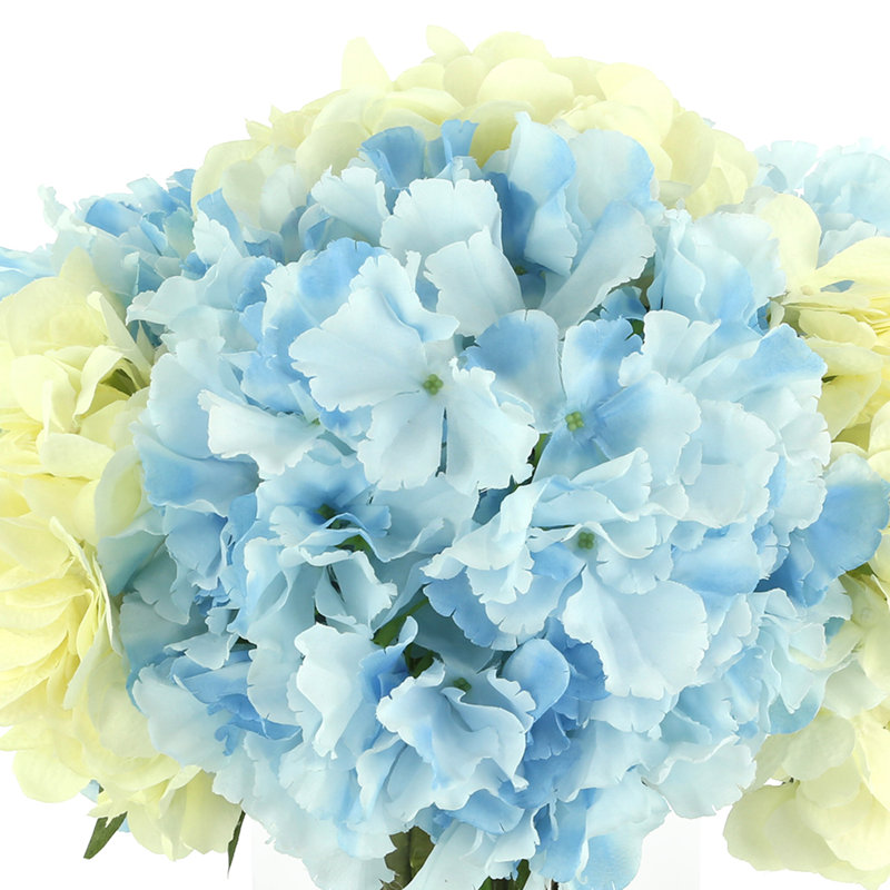 Hortensias disposés dans un vase en verre transparent, Bleu / blanc
