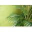 110cm Faux Palm Tree in Pot Liner