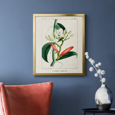 Toile encadrée Turpin Tropical Botanicals