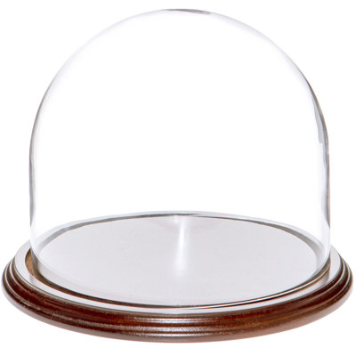 Jenett 8" x 6.5" Glass Display Dome Cloche