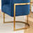 Johnnice 19" Tufted Metal Frame Velvet Upholstered Dining Chairs-2101225945-2101225946