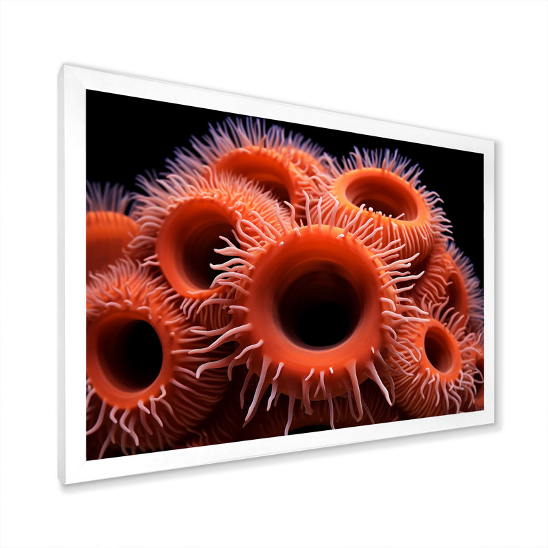 " Orange Giant Plumose Anemone ", White Single Picture Framed, 24" H x 32" W x 1" D