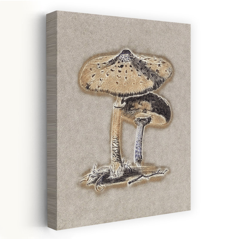 Illustration murale représentant un champignon parasol brun, style rétro rustique vintage, avec un paysage naturel dessiné à la main.