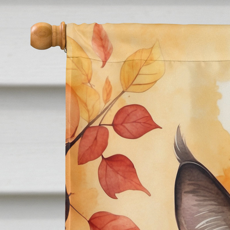 Chat en feuilles d'automne, Birman