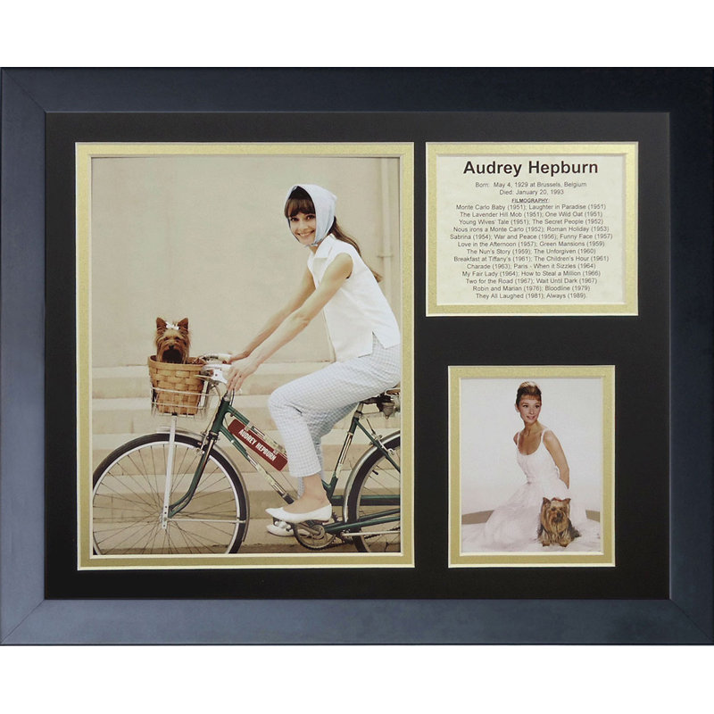 Souvenirs encadrée audrey hepburn ii