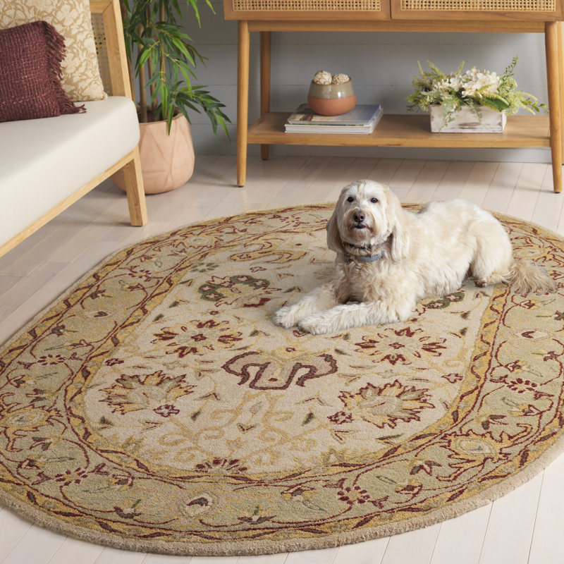Tapis oriental en laine touffeté à la main Dunbar, Ovale 4 pi 6 po x 6 pi 6 po