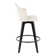 Capuano 26" Fixed-Height Counter Stool With Round Footrest - Set Of 2
