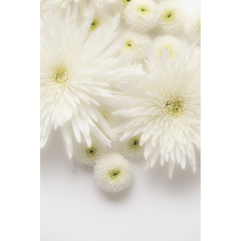 Funeral Flowers by Kazoka30 - Wrapped Canvas Print, 46cm H x 30cm W