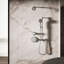 Occasion Single-Function 2.5 Gpm Handshower-298416795
