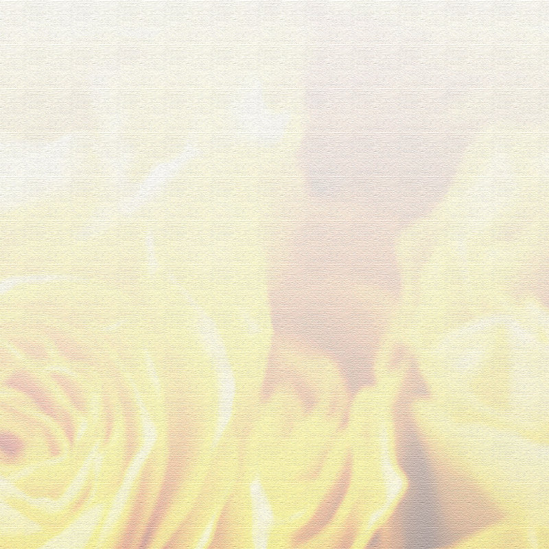 Print on Canvas, 100cm H x 150cm W x 2cm D