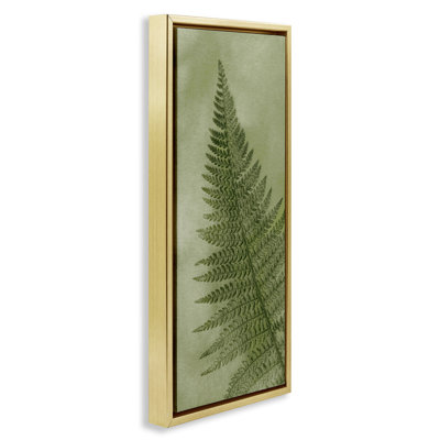 Detailed Green Fern Leaf