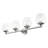 Zaker 4 - Light Dimmable Vanity Light-1068796093