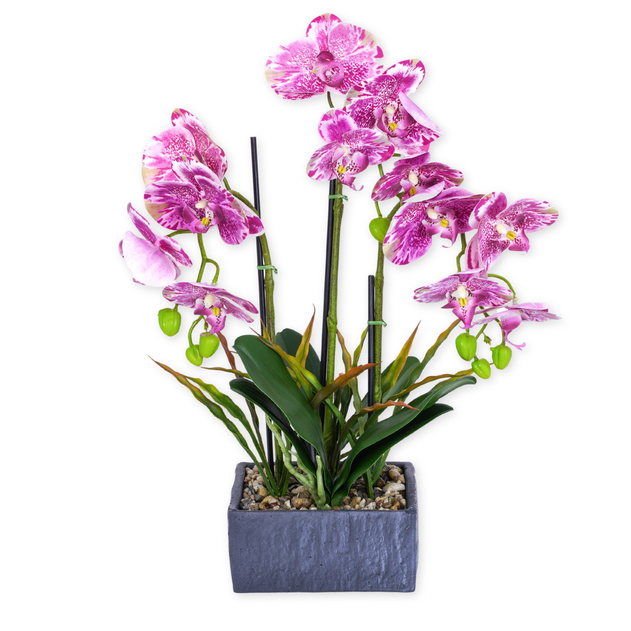 Primrue Pink Faux Orchid In Rustic Gray Cement Pot | Wayfair