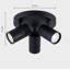 Auralia Spotlight-731373895