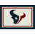 Houston Texans