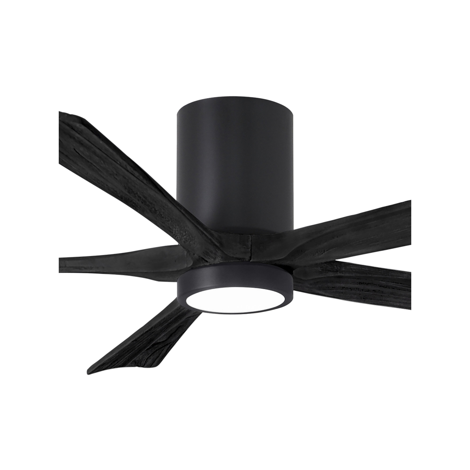 Irene 5 - Blade LED Ceiling Fan with Light Kit Included, Matte Black, Matte Black, 60"