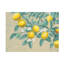  Art mural sur toile Wellington, branche de citron-101102812