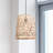Ruochen 1 - Light Black Drum Pendant