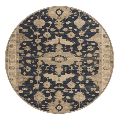 Machine Washable Overdyed Brown Area Rug