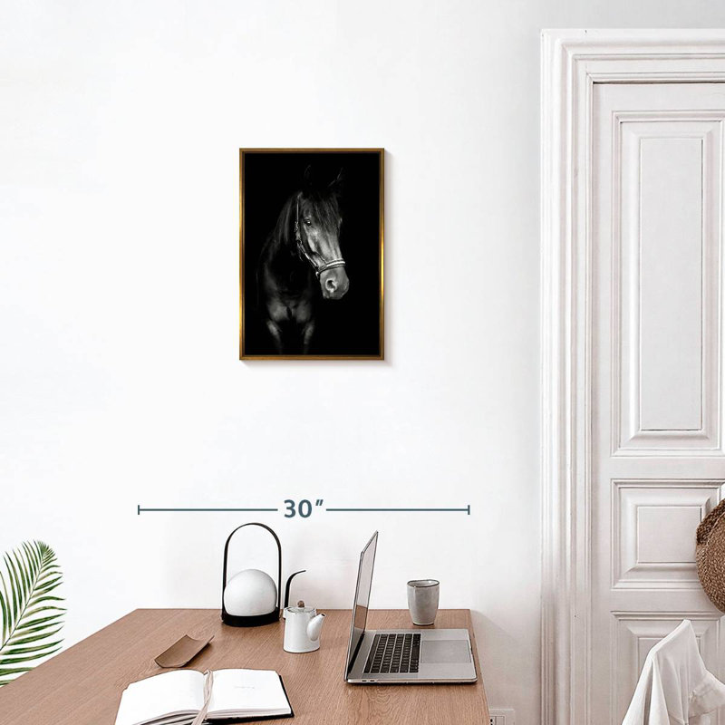Cheval noir dans le noir, Cadre flottant doré, 13 po x 19 po