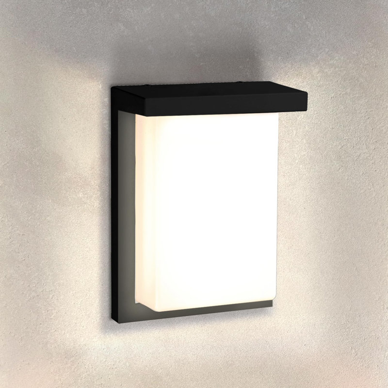 8 Inch Flush Mount Wall Light Fixture