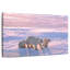 Ours polaires canadiens-120013249