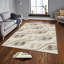 Tapis en polyester de qualité supérieure (5,2 x 7,5 pi), 100% antibactérien, antidérapant, 0,3 po de hauteur | Lavable à la machine, impression numérique 3D, tapis tissé durable | Idéal pour le salon, la chambre à coucher et les espaces repas-1194168645