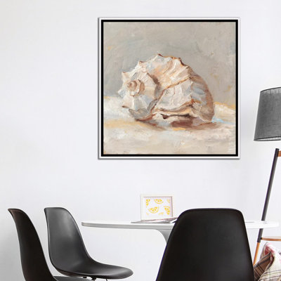 " Impressionist Shell Study II " Painting