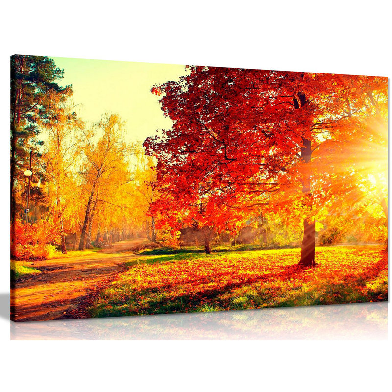 Wrapped Canvas Print, 41cm H x 61cm W