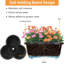 Vertical Garden
