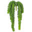 Plantes grasses artificielles en plastique