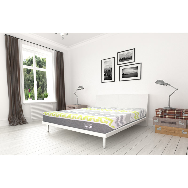 Matelas en mousse viscoélastique imprégnée de charbon de 9 po Canada Sleep Lotus, Double TG