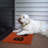 Avenelle Non-Slip Halloween Indoor / Outdoor Doormat