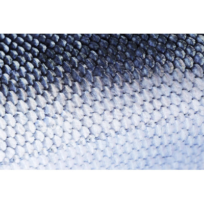Fish Scale by Temmuzcan