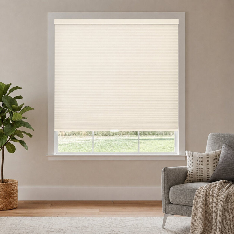 Store alvéolaire alvéolaire à double cellule sans cordon filtrant la lumière, L 60,75 po x H 72 po