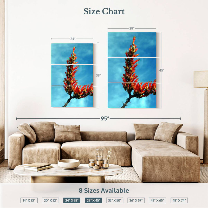 Harnek Ocotillo en fleurs, H 38 po x l 24 po