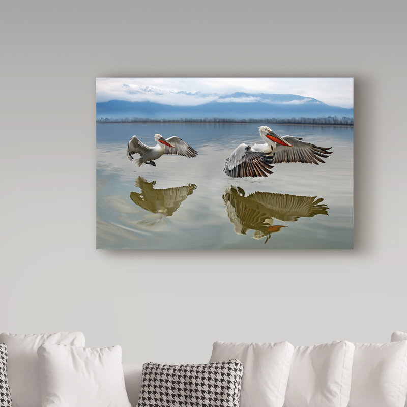 « pelicans flying », reproduction d’impression sur toile tendue, H 12 po x l 19 po x P 2 po