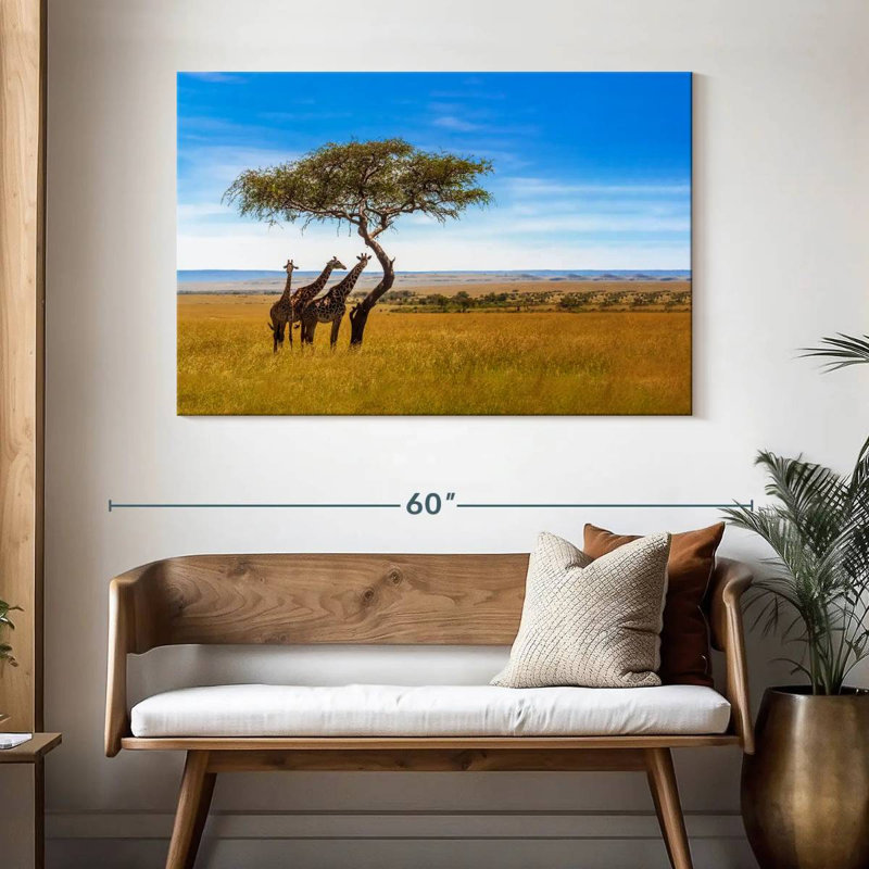 African Savanna Giraffes, H 32 po x l 48 po
