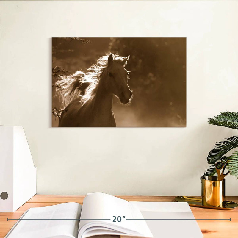 Brampt Wild Arabian Horse