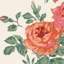 Cath Kidston Archive Rose Pink Blooms-1139141233