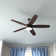 52" Airetor 5 - Blade LED Standard Ceiling Fan with Pull Chain and Light Kit Included